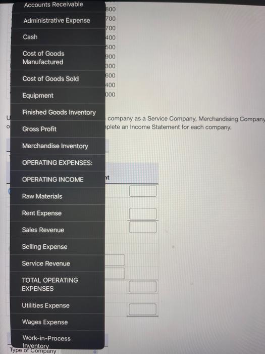 Company Z Type of Company Company Z Income Statement Using the data