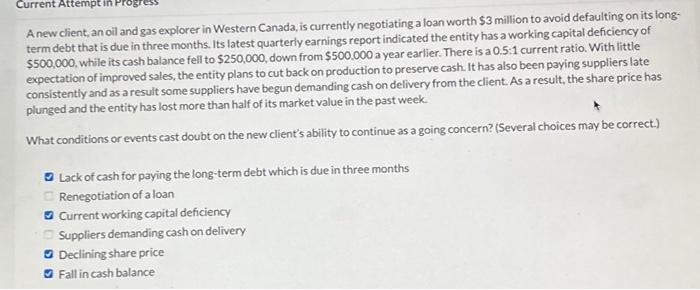 Michael Cheung has drafted an audit plan for a new client. The