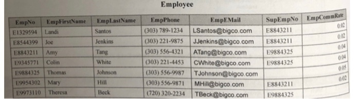 employee. 6. List all the people in the database. The resulting table