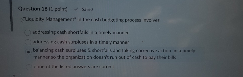  Question 18(1 point) Y Saved "Liquidity Management" in the cash budgeting