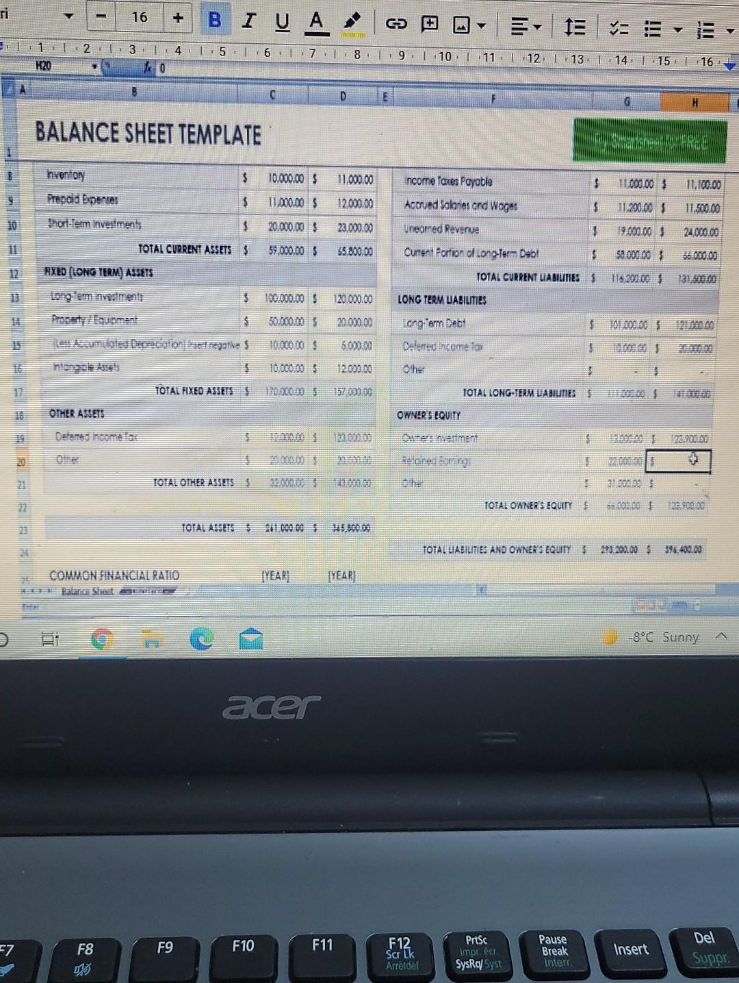 Given below is a screen shot for a balance sheet while in