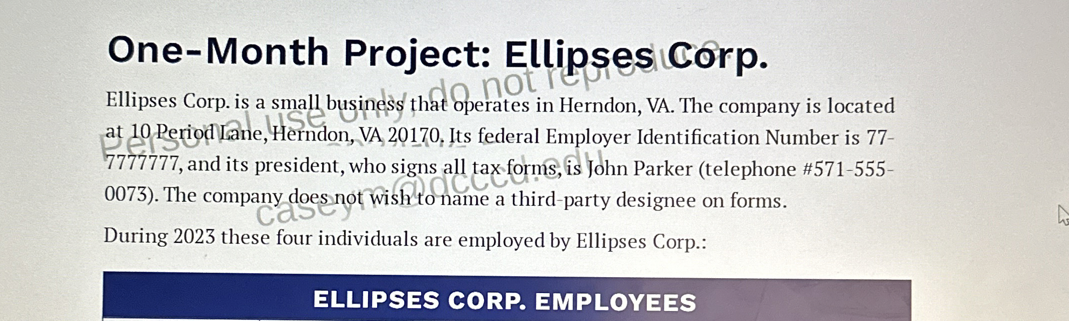  One-Month Project: Ellipsescorp. Ellipses Corp. is a small busindss that operates
