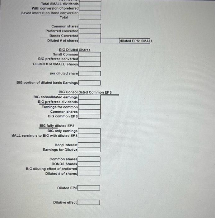 attributable amortization (30,000) Since SMALL has convertible \& Dilutive interest with SMALL