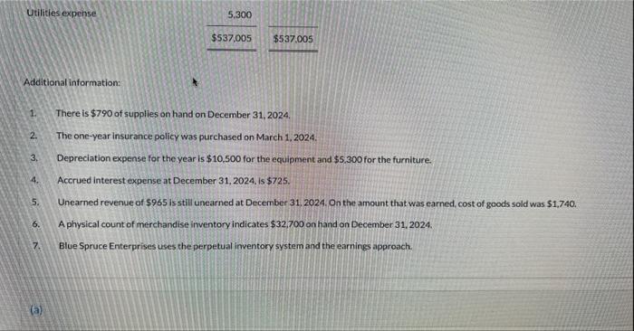 Blue 5pruce Enterprises for the year ended Decenber 31, 2024, folows. Additional