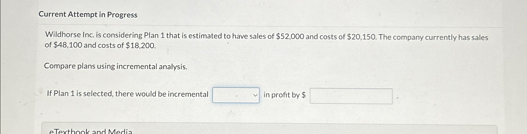  Current Attempt in Progress Wildhorse Inc. is considering Plan 1 that