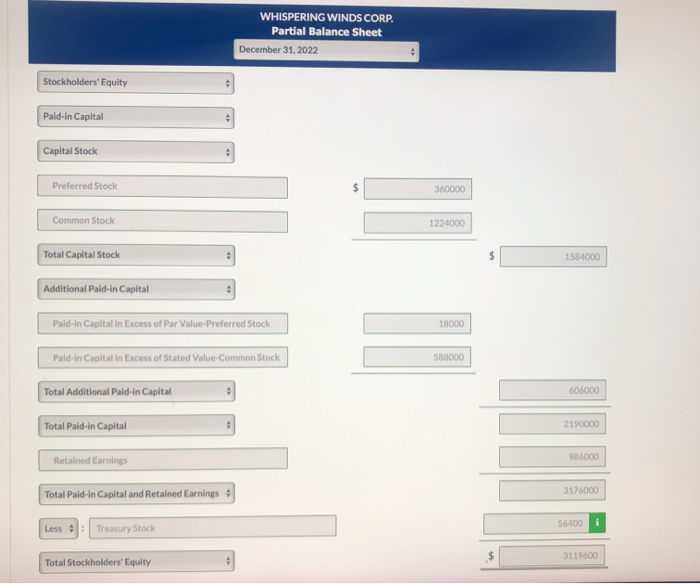 Capital in Excess of Par Value-Preferred Stock Paid-in Capital in Excess of