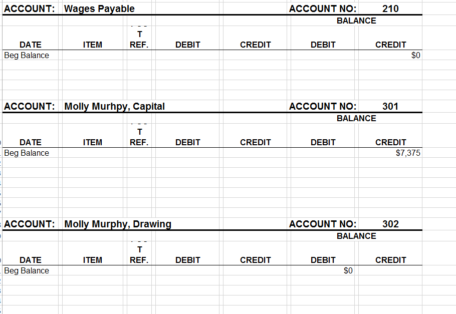 210 Accounts Payable Wages Payable Owner's Equit 301 302 Molly Murphy, Capital