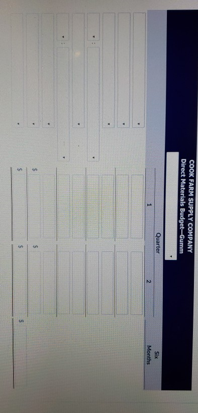 are available for preparing budgets for Snare for the first 2 quarters