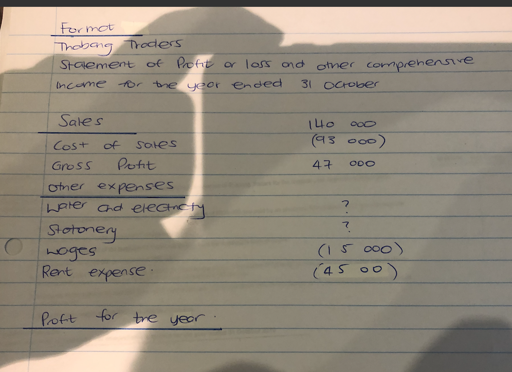 profit or loss and other comprehensive income of Thabang Traders for the