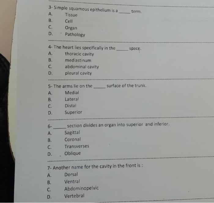  term. 3- Simple squamous epithelium is a A. Tissue B. Cell