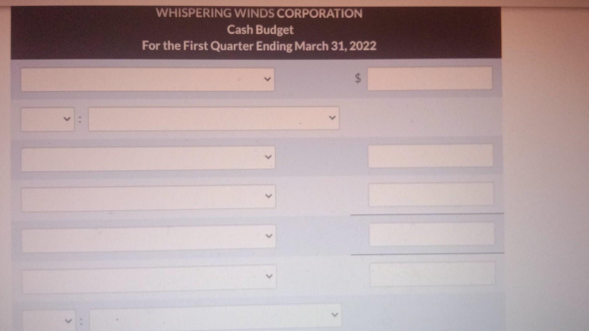 balance of $29,000 in its December 31,2021 , balance sheet. Whispering Winds's