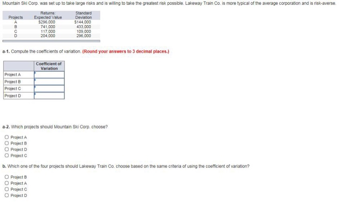  Mountain Ski Corp. was set up to take large risks and