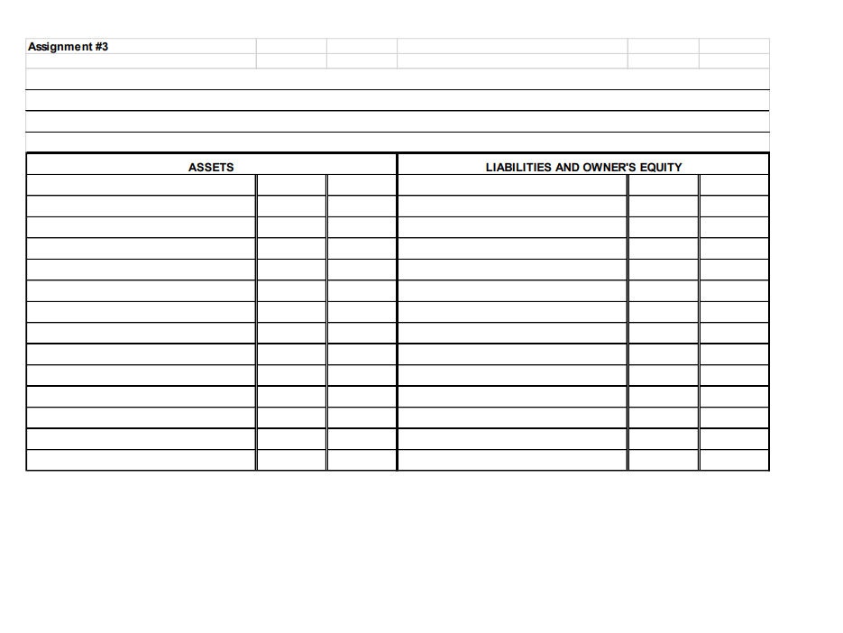 statements - Income Statement, Statement of Owner's Equity, and Balance Sheet -