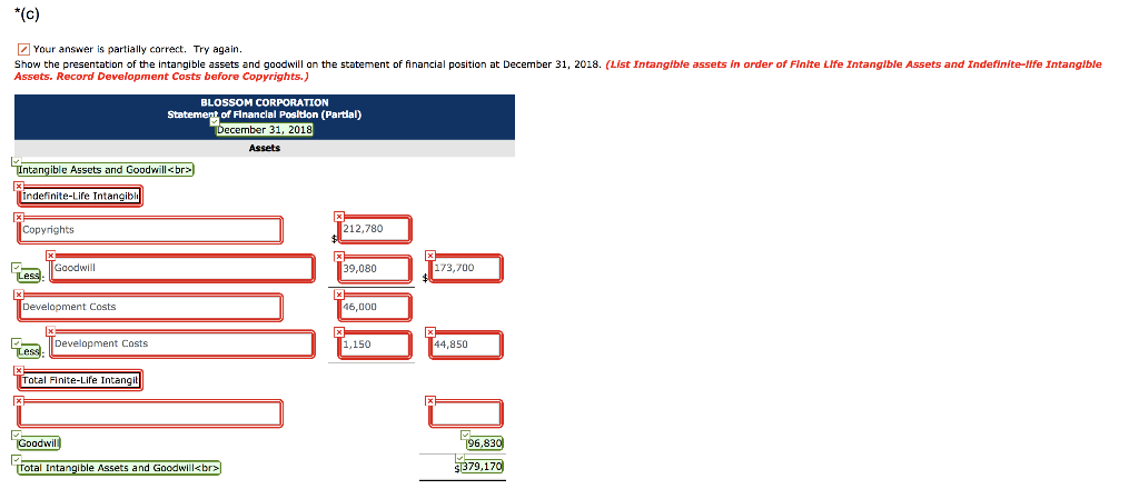 of the intangible assets and goodwill on the statement of financial position
