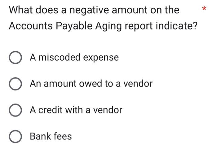  What does a negative amount on the Accounts Payable Aging report