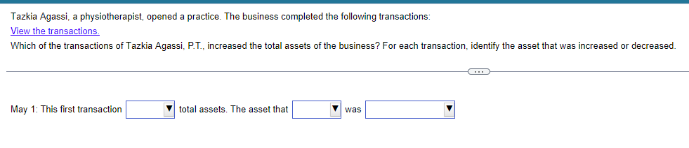  Tazkia Agassi, a physiotherapist, opened a practice. The business completed the