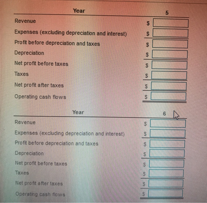 depreciation (excluding depreciation Year Revenue and interest) Revenue and interest) $41,100 $29,100
