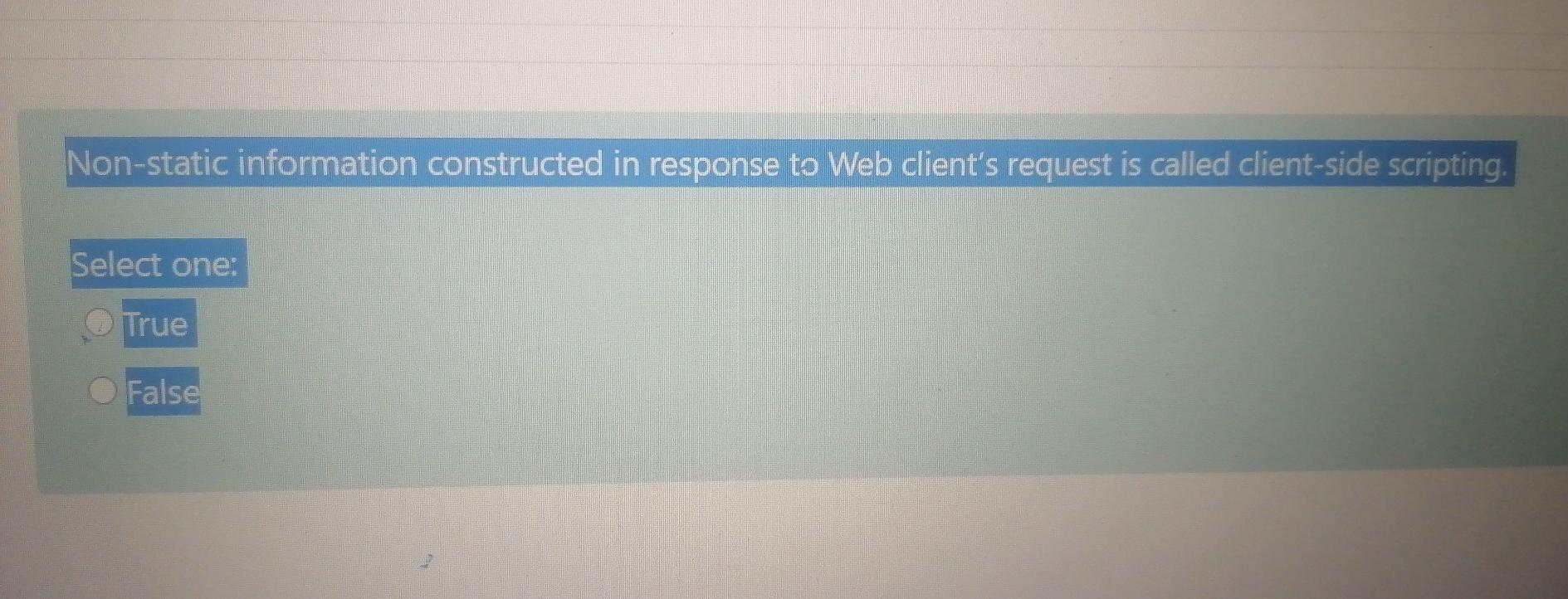  Non-static information constructed in response to Web client's request is called