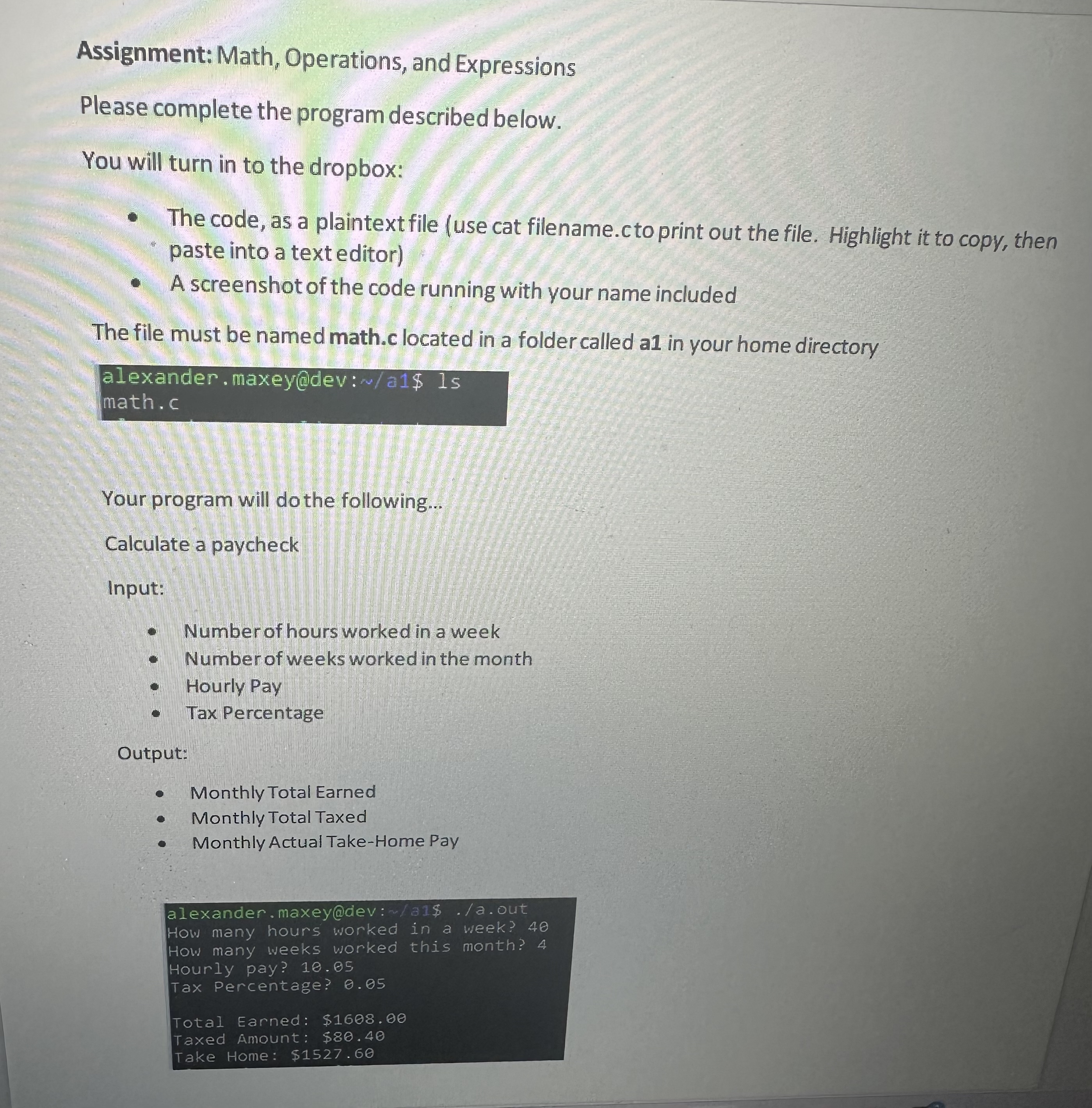 Assignment: Math, Operations, and Expressions Please complete the program described below.