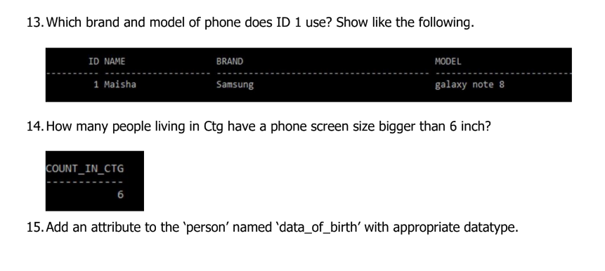 'Male', 5000); INSERT INTO person VALUES (8, 'Raisa', 'Dhaka', 56, 'Engineer', 'Female',