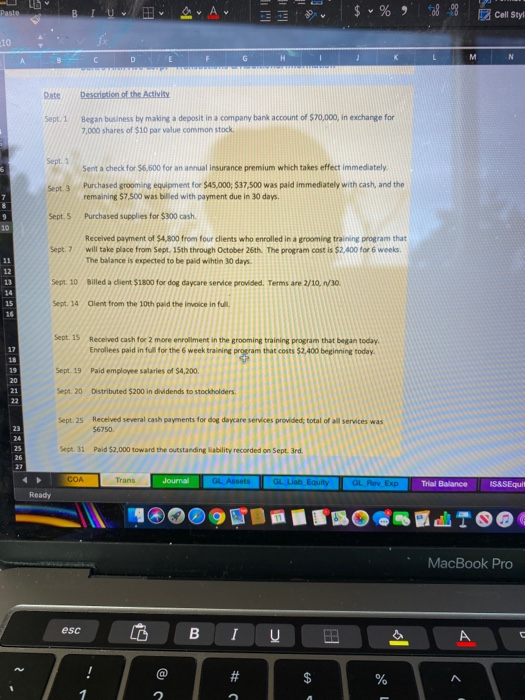  I need help with the journal entry, General Ledger, trial balance,