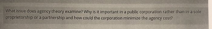  What issue does agency theory examine? Why is it important in