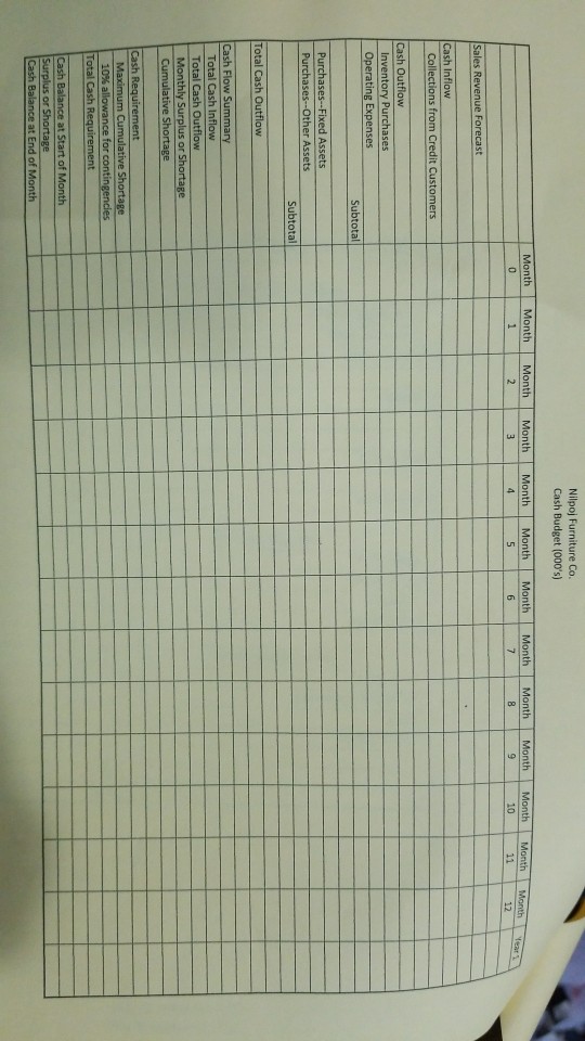 a cash budget for the firm for its first twelve months operation.