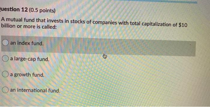  Question 12 (0.5 points) A mutual fund that invests in stocks