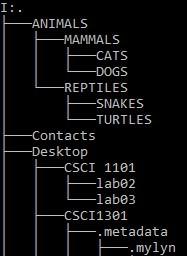  CSCI 4200 Lab 1 Windows Command Prompt 8 Exploring a directory