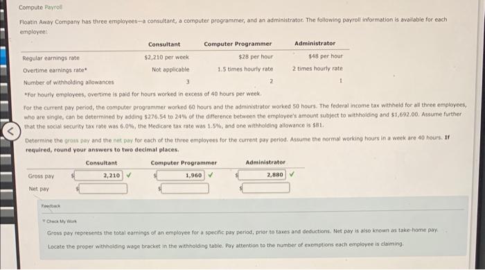  Floatin Away Company has three employees-s consultant, a computer programmer, and