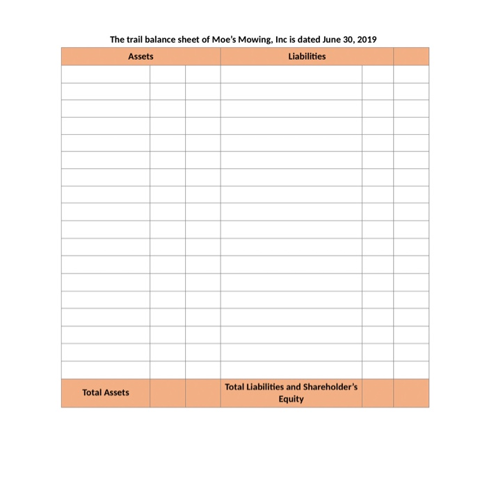 4,000 Account Receivable Supplies Prepaid rent Inventory Notes payable salary payable Loan