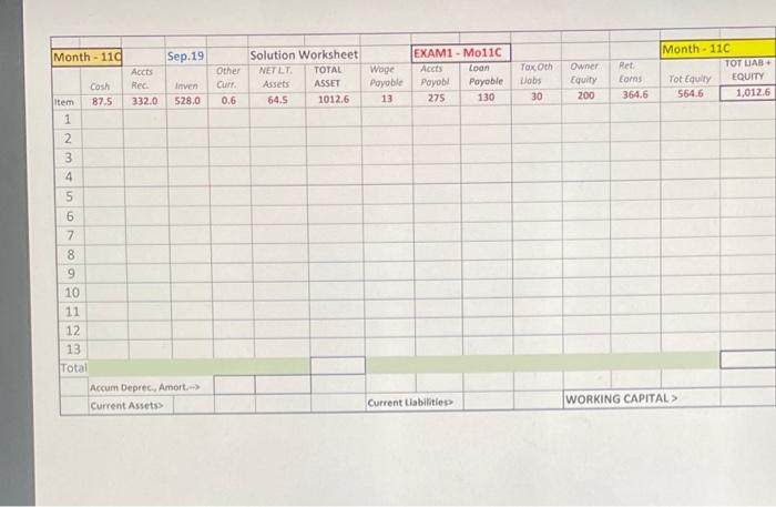 WORKSHEET PROVIDED Name 40pts Worksheet for Balance Sheet provided. NEW-Co's ending Month-10
