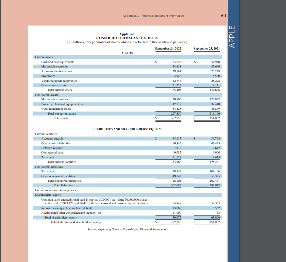 shareholders' equity, and total assets at fiscal year-end for both 2022 and