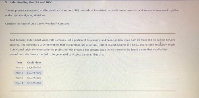  S. Understanding the IRR and NPV The net present value (NPV)