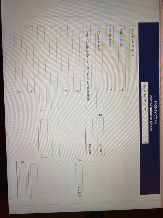 Corp. was organized on January 1, 2022. It is authorized to issue