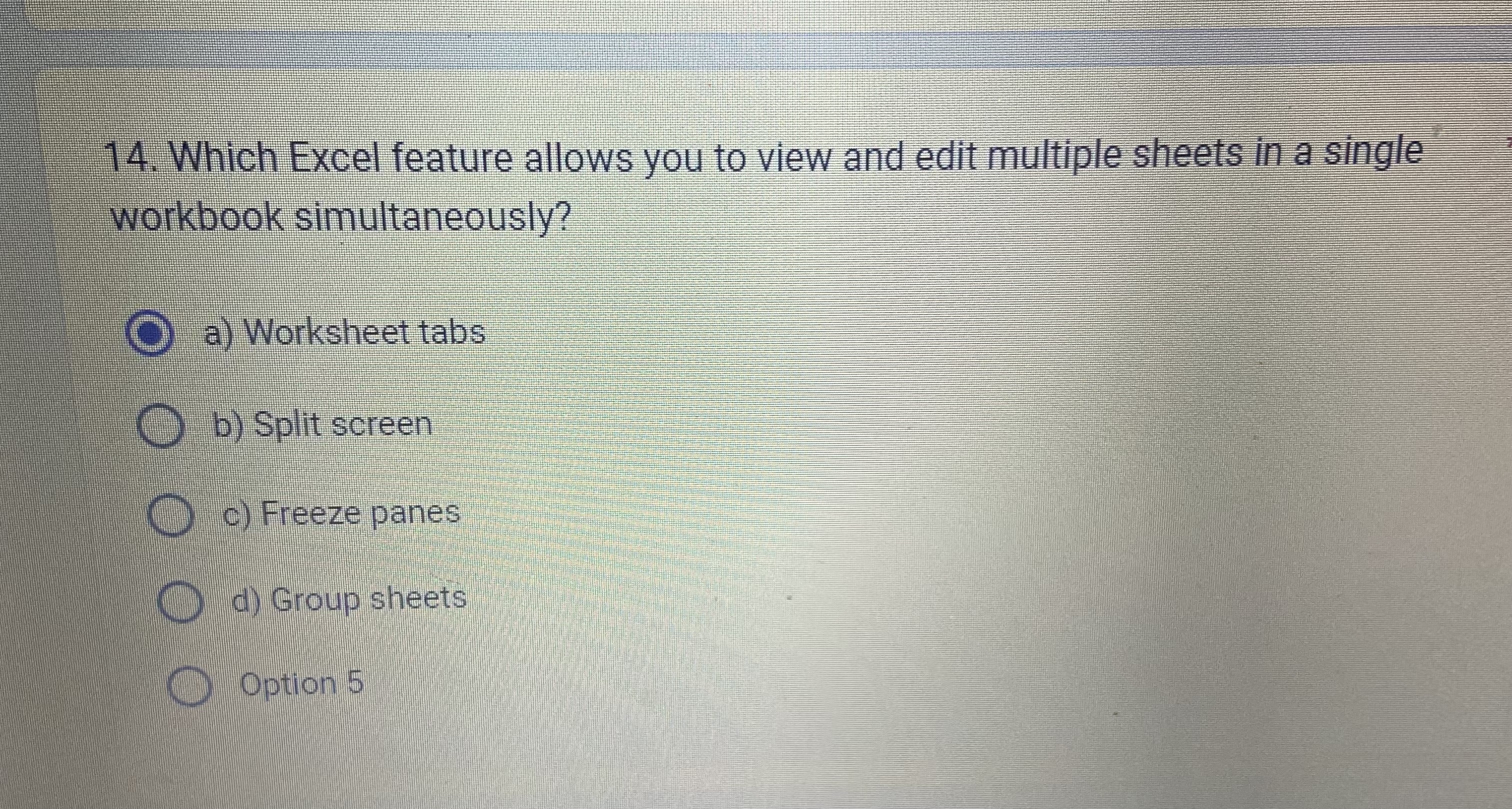  Which Excel feature allows you to view and edit multiple sheets