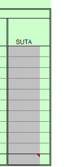 chapters, you will gain experience in computing wages and salaries and preparing