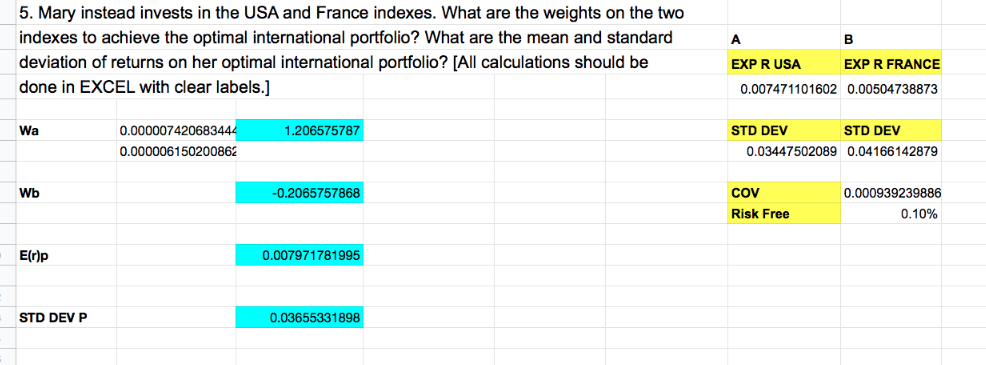 6. Discuss whose optimal portfolio performs better (John or Mary), and explain
