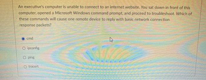  An executive's computer is unable to connect to an internet website.