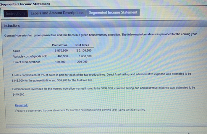  Segmented Income Statement Instructions Labels and Amount Descriptions Segmented Income Statement