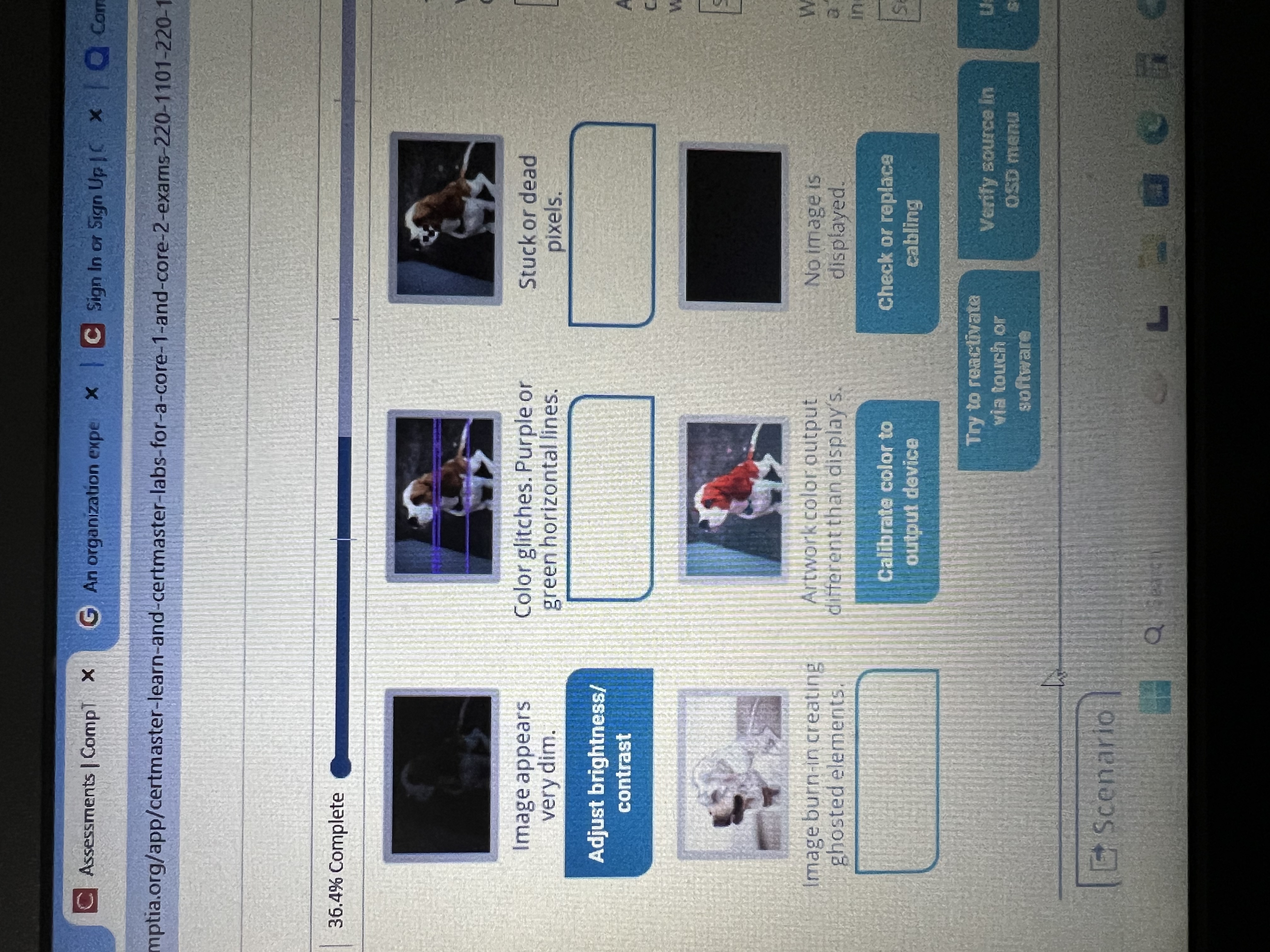 image text in transcribed