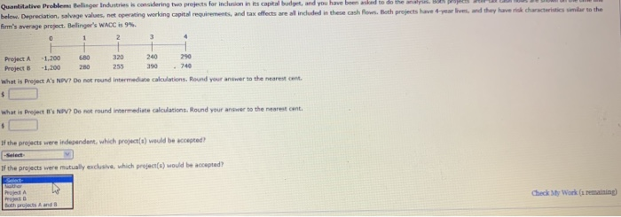 project will contribute to the whole worm and added value means a