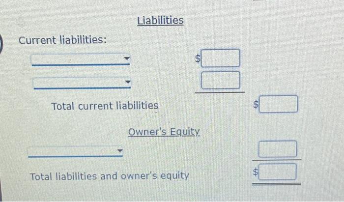 investments were made by the owner during the month. Liabilities Current liabilities: