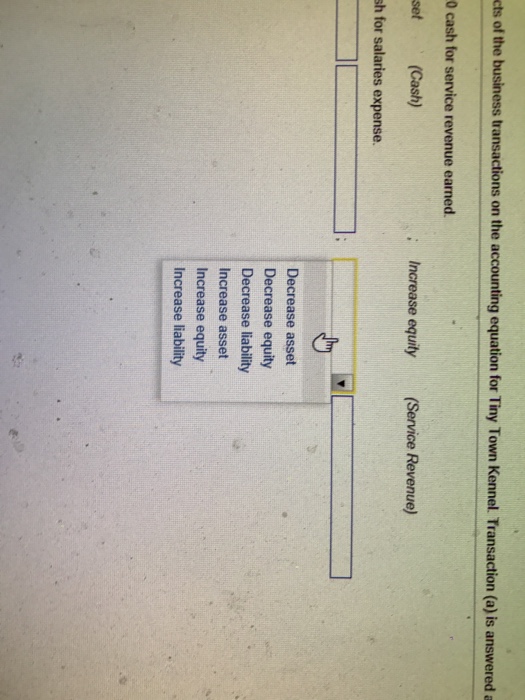 service revenue by caring for the pets o customers. Tiny Town Kennelis