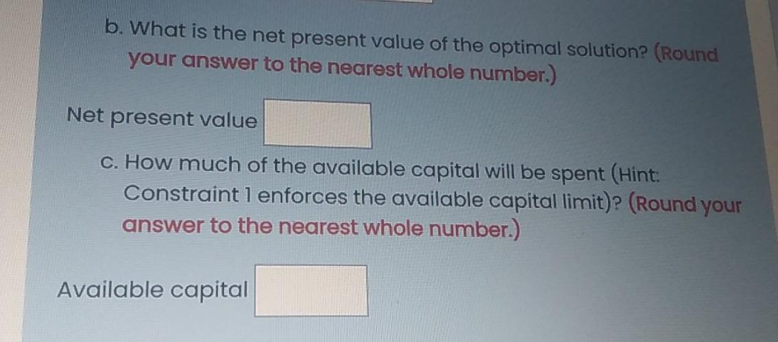 goal is to maximize the net present value of their decision while