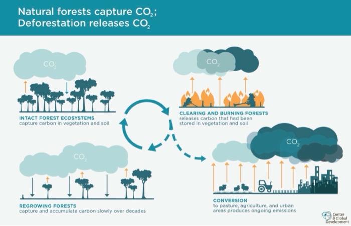 and 3b. Provide Rationale Why We Should Increase the Reliance Upon Some