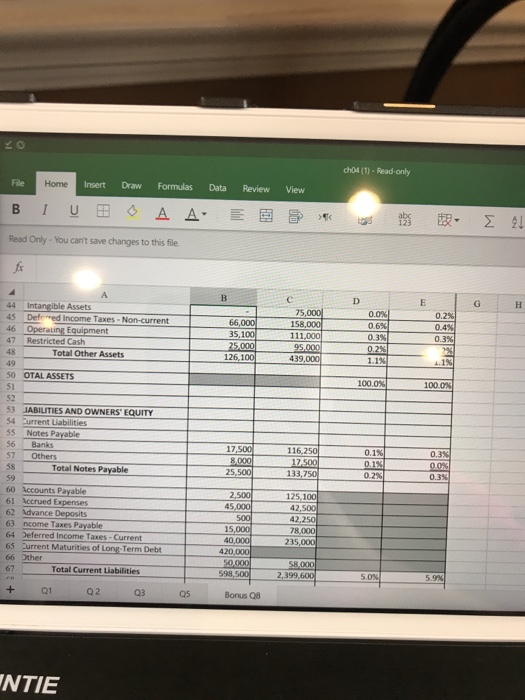 Nilam Patel's Two Hotel's Balance Sheets Common Size December 31 g0-RoomProperty 90-Room