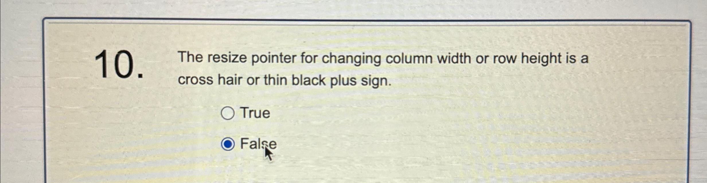  The resize pointer for changing column width or row height is