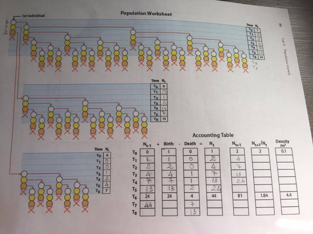 Complete the Accounting Table using the population worksheet 1st individual Time Ne