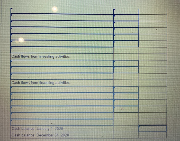 statement of cash flows for the year ended December 31, 2020, you